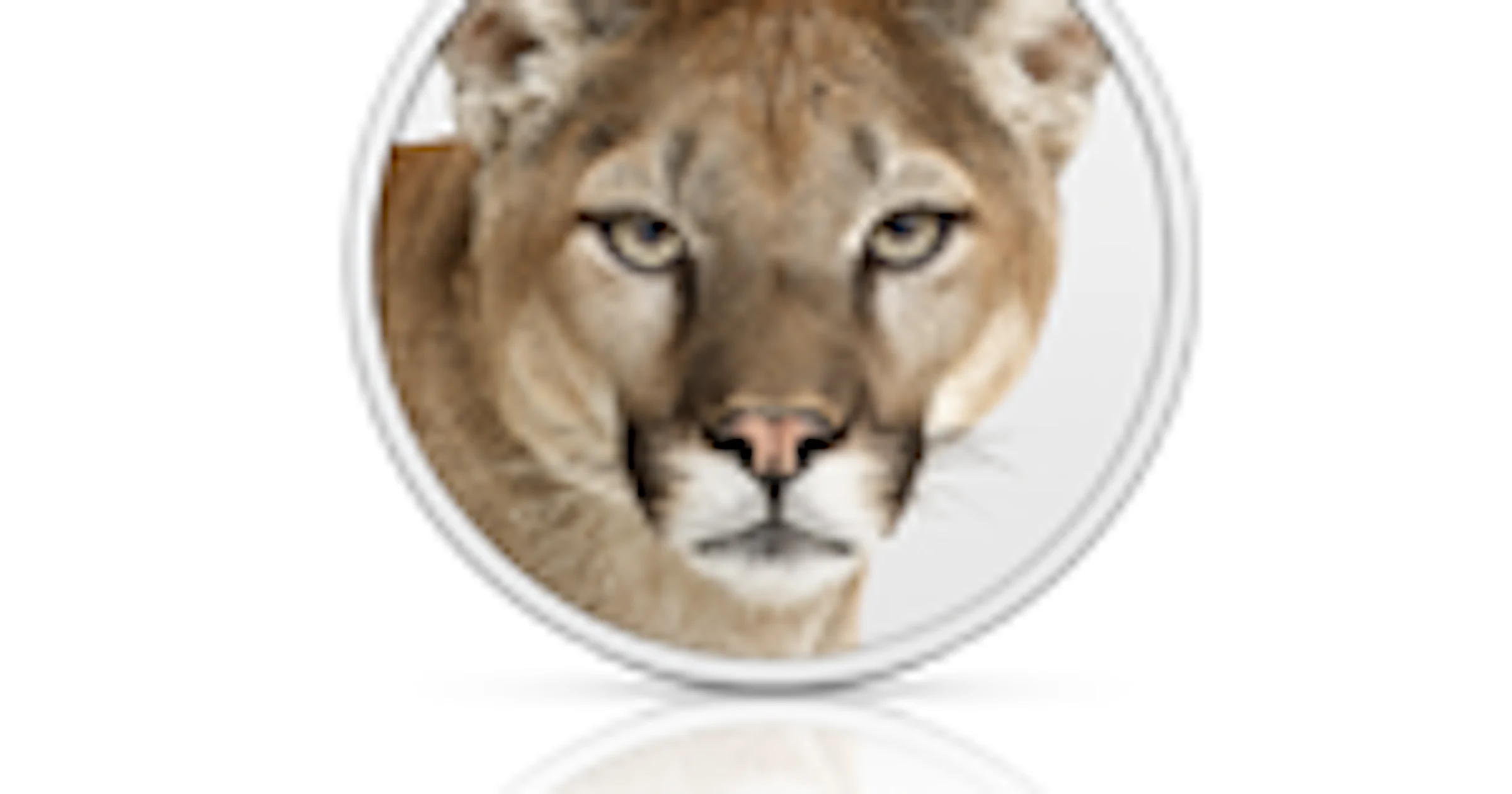 Wordt Mountain Lion 25 juli gelanceerd?