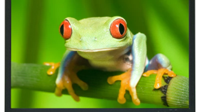 NEC MultiSync PA301W