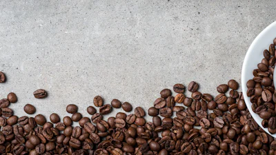 Cups, bonen of toch maar een filtermachine?