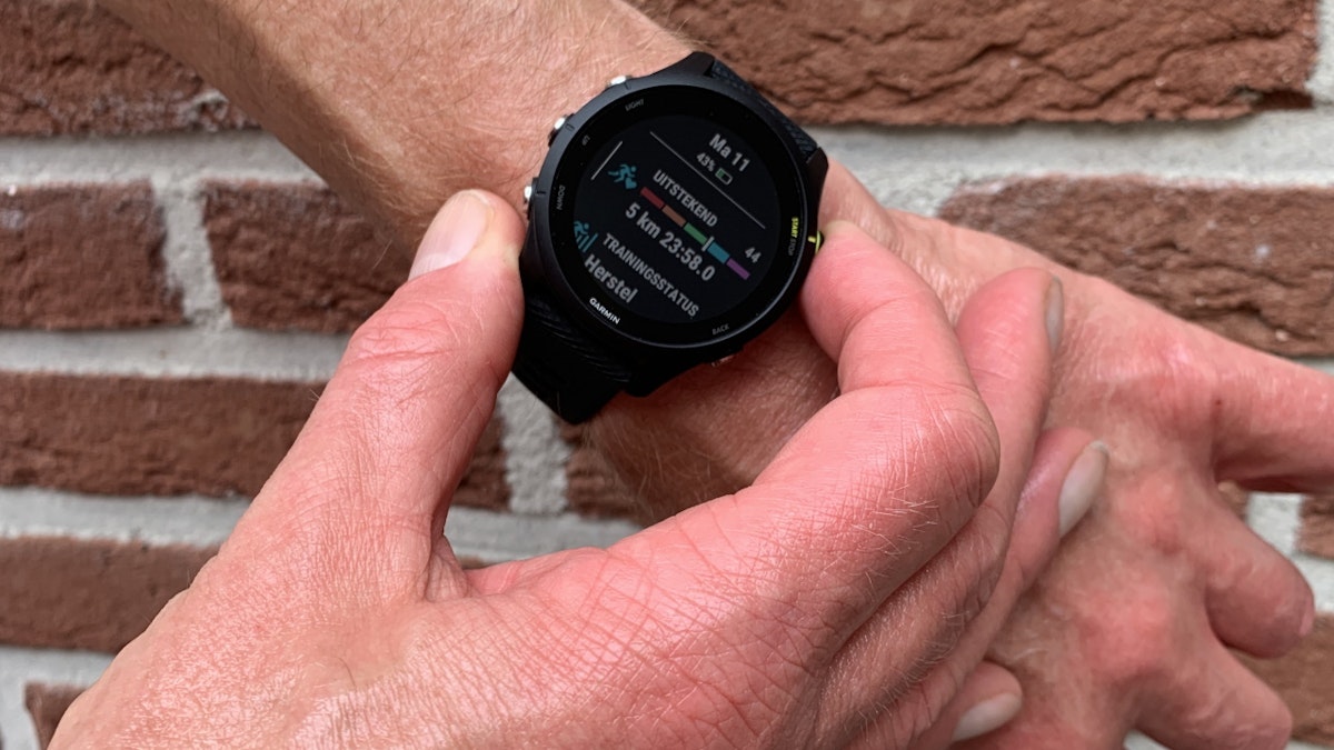 Rentmeester schot lof Garmin Forerunner 255 - Topprestaties voor budgetprijs | ID.nl