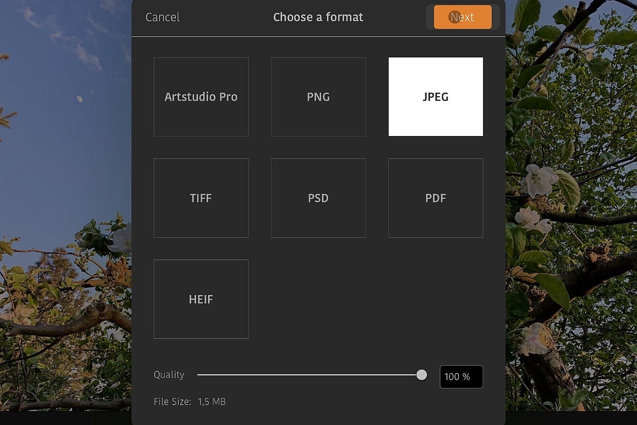 In geval je gaat voor .jpg, kies dan de hoogste kwaliteit om vervelende (her)compressie-artefacten te voorkomen.
