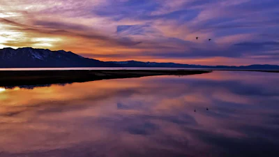 Elke dag een nieuwe achtergrond in Windows 10