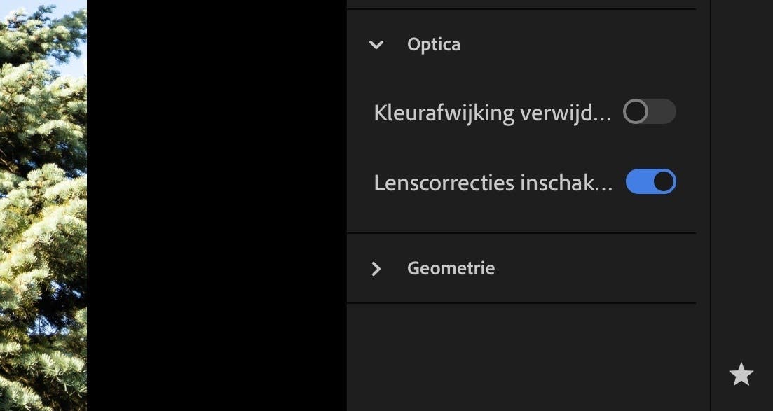 Lenscorrectie haalt vertekening uit gemaakte foto’s.