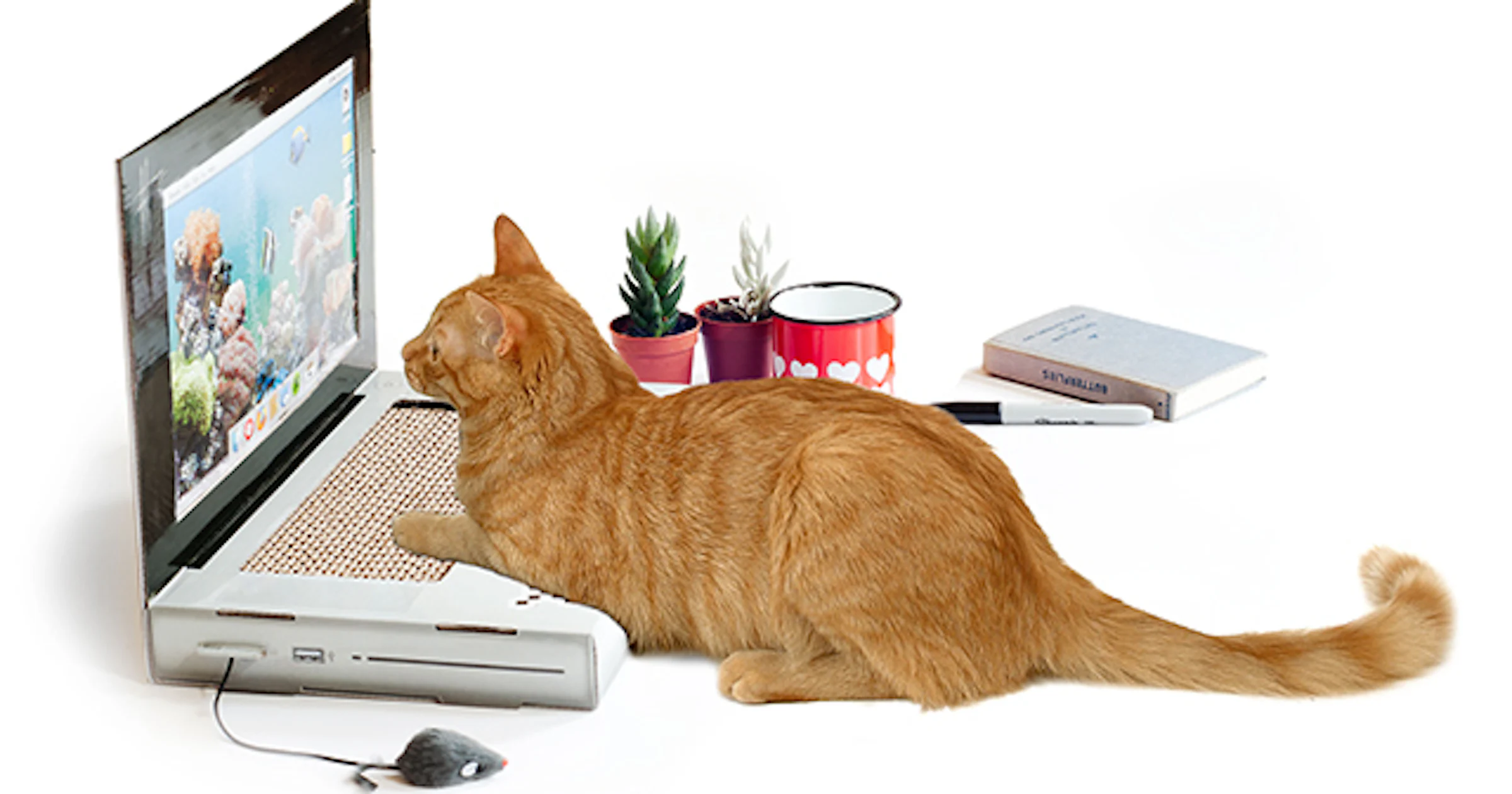 Huisdierspeeltjes 2.0: Tech voor kat en hond