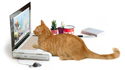 Huisdierspeeltjes 2.0: Tech voor kat en hond