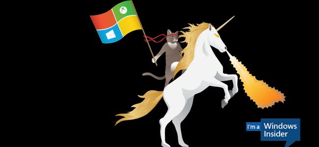 Altijd de nieuwste Windows-versie met Windows Fast Ring