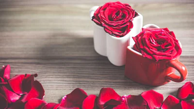 Apps voor een anti-zoetsappige Valentijnsdag