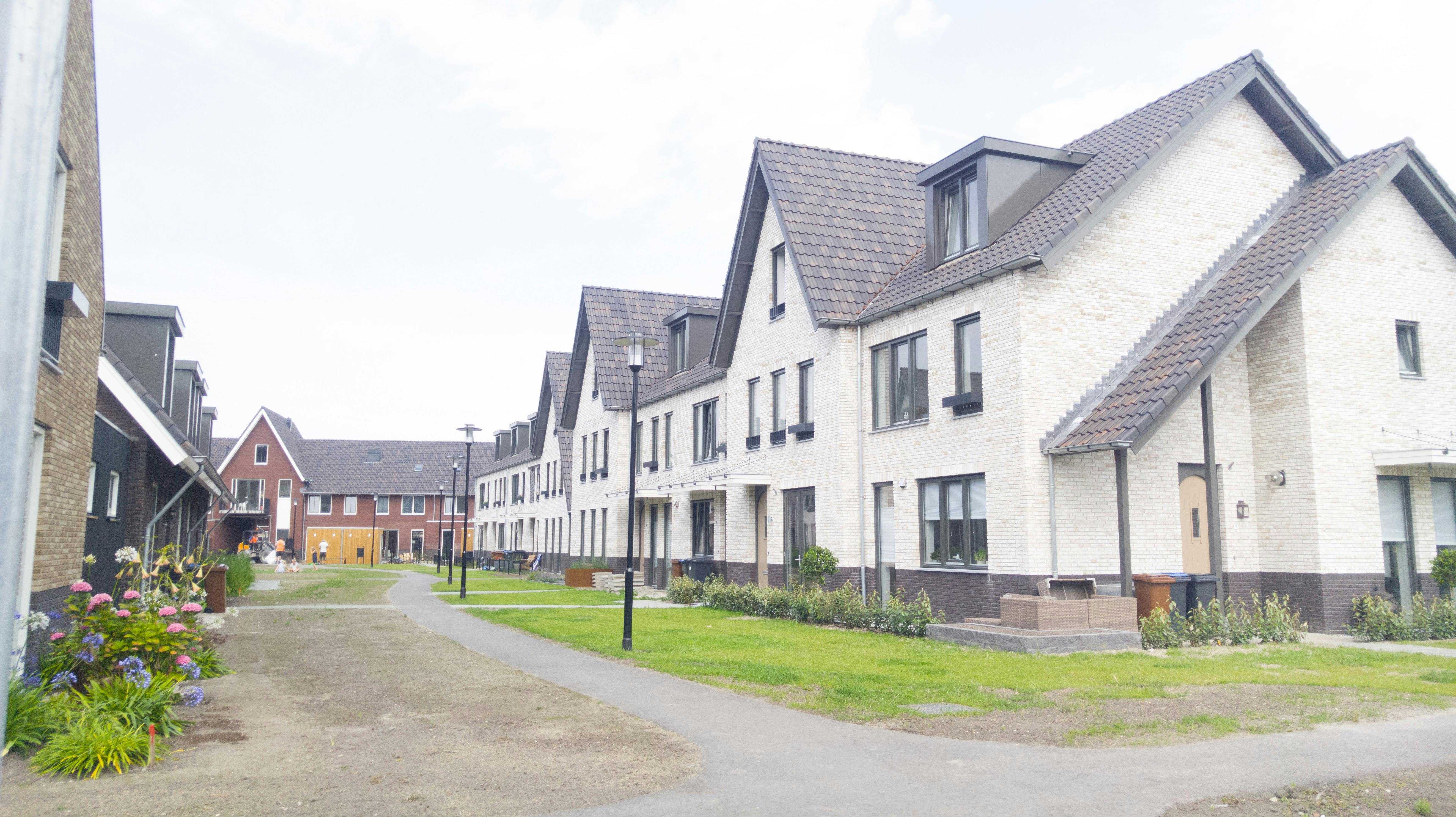 Foto's bewerken op je smartphone met Lightroom