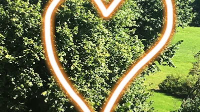 Vertel je verhaal met Instagram Stories