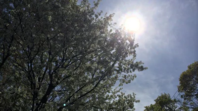 Zo voorzie je foto's van locatiegegevens