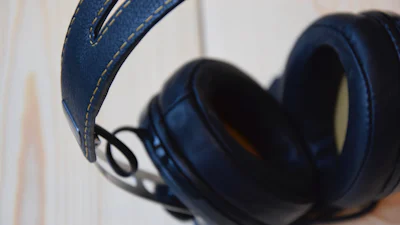 Sennheiser Momentum Wireless 2.0 - Hoge prijs voor hoge kwaliteit