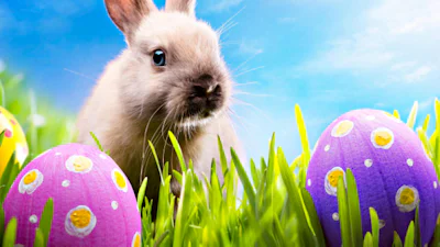 8 apps voor een geweldig paasweekend