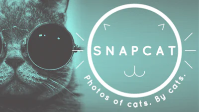 Streel het ego van je kat met Snapcat