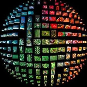 ImageSorter: Gratis en snel je vakantiefoto’s sorteren