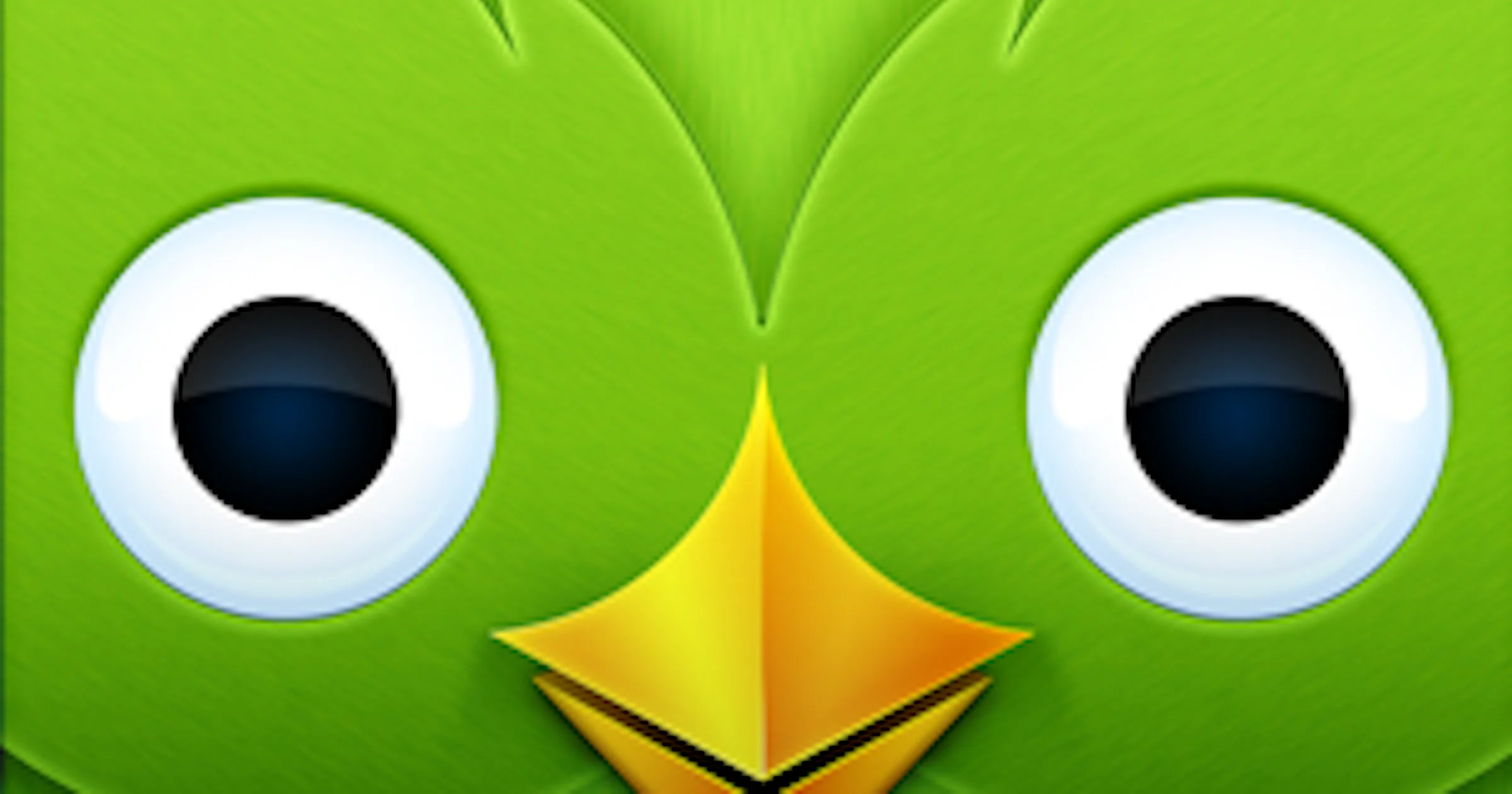 Duolingo: Vreemde talen leren wordt leuk