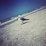 Vijf leuke iPhone-apps voor op het strand