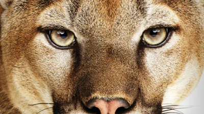 Apple lanceert OS X 10.8.3 met Boot Camp en Safari 6.0.3