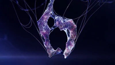 Test: Resident Evil 6