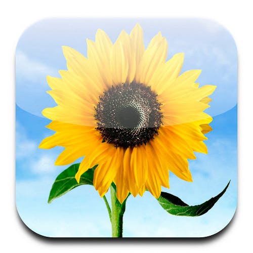 Fotostream