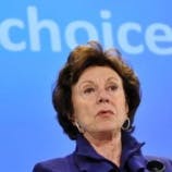 Kroes: huidig auteursrechtsysteem faalt