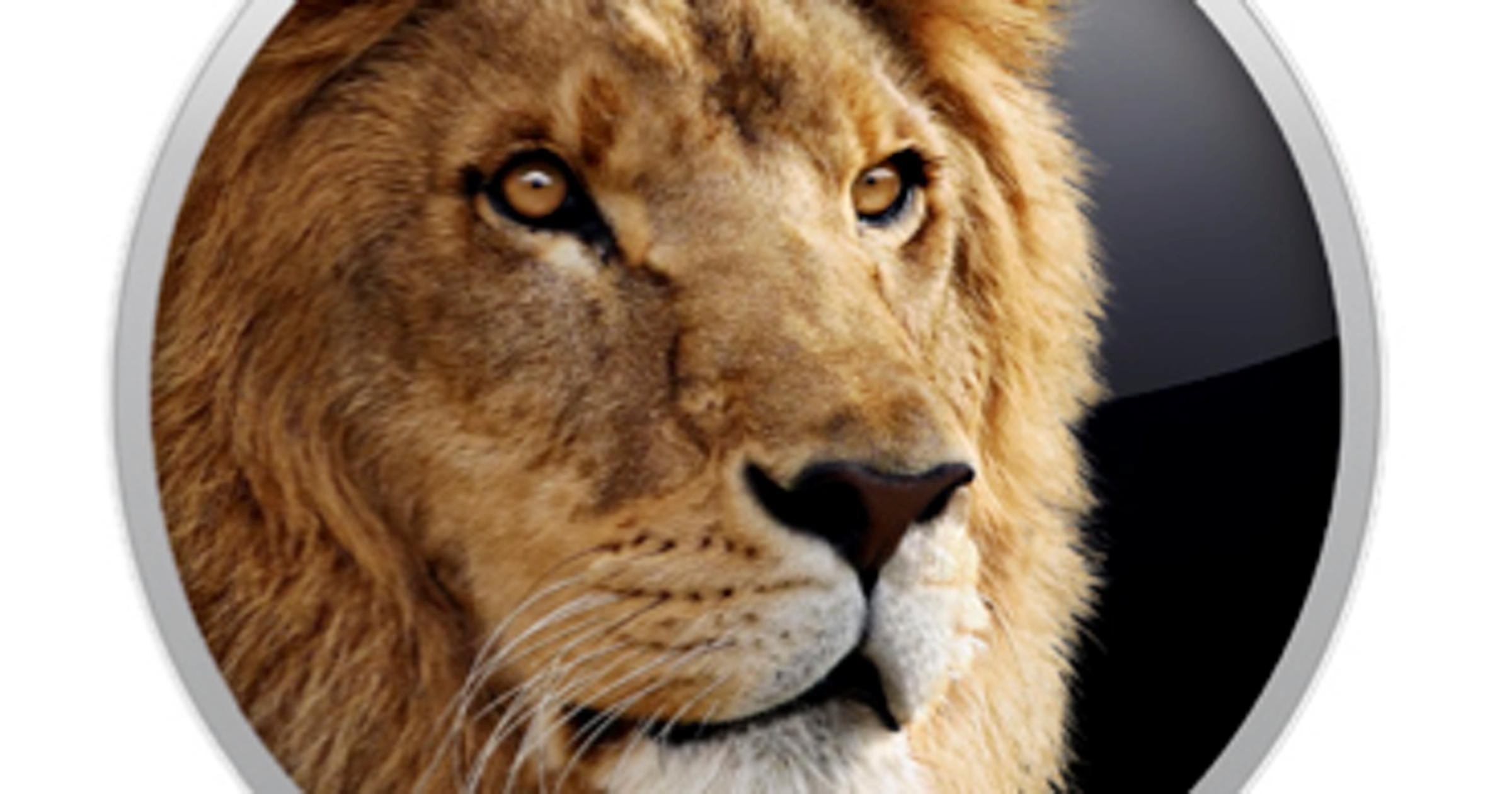 Apple lost eerste bugs in Mac OS X Lion op