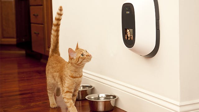 Huisdier-oppas regel je met deze gadgets zelf