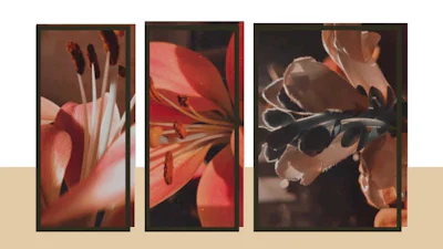 Fraaie collages maken met ShapeX doe je zo