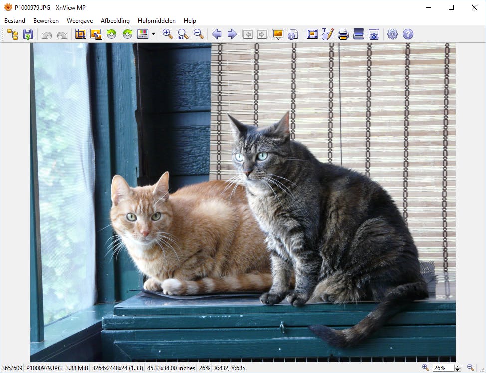 Tip 03 XnView is een van de meest veelzijdige fotoviewers.