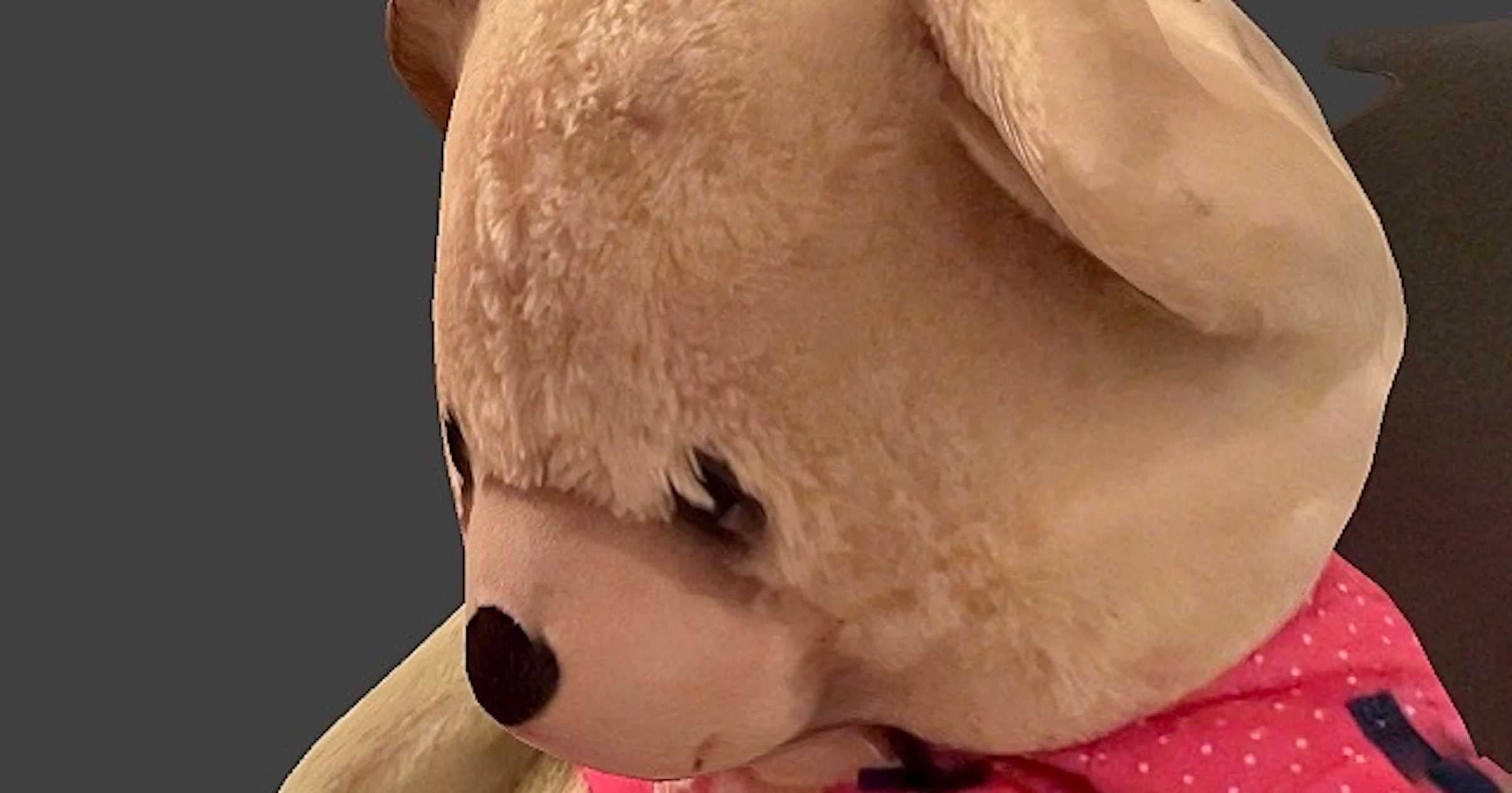 Zo gebruik je je iPhone en iPad pro als 3D-scanner