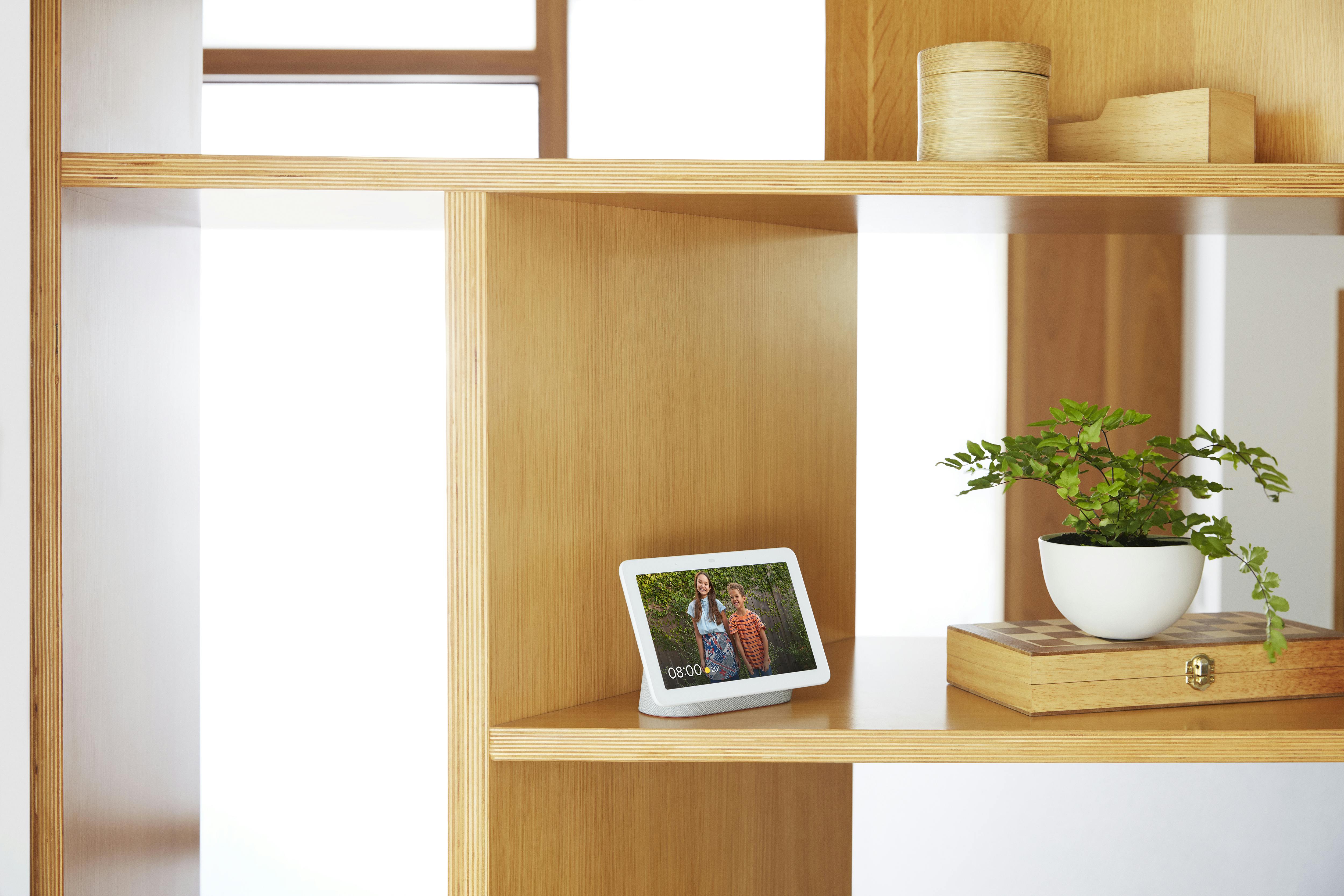 Dit kan Google Home ook