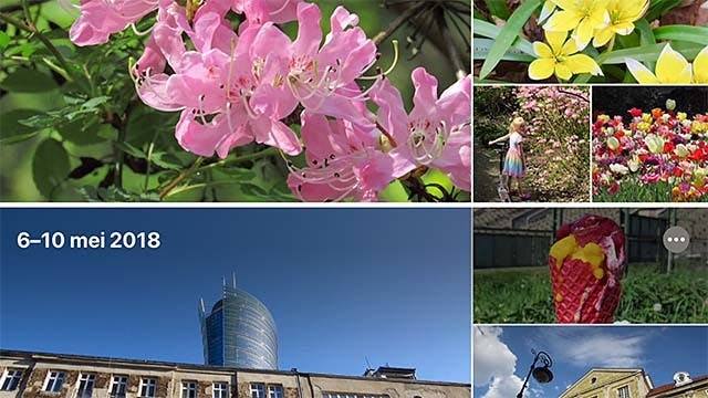 Het vernieuwde Foto's in macOS Catalina