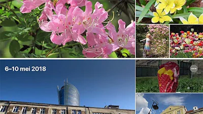 Het vernieuwde Foto's in macOS Catalina