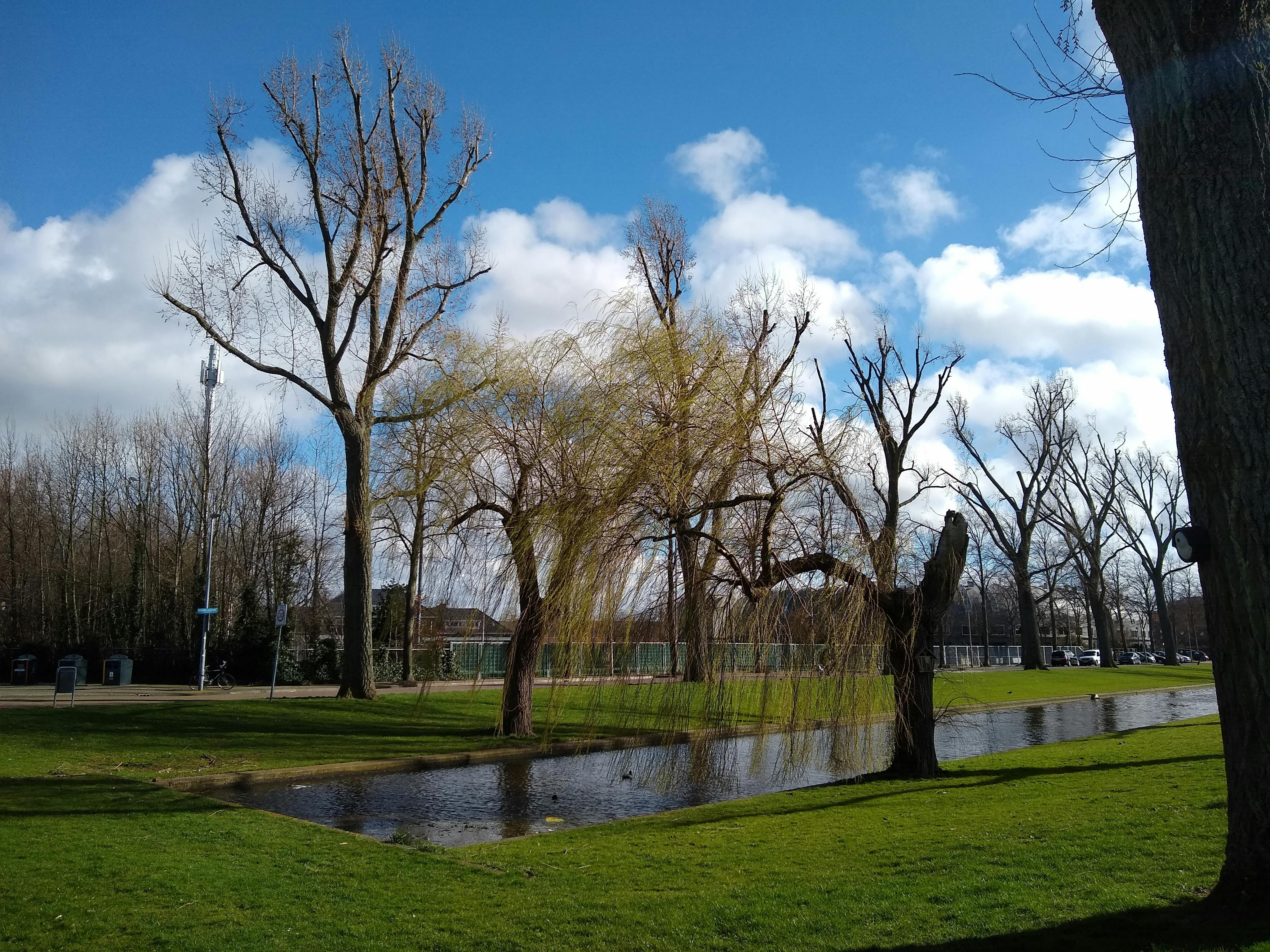 Media has no description