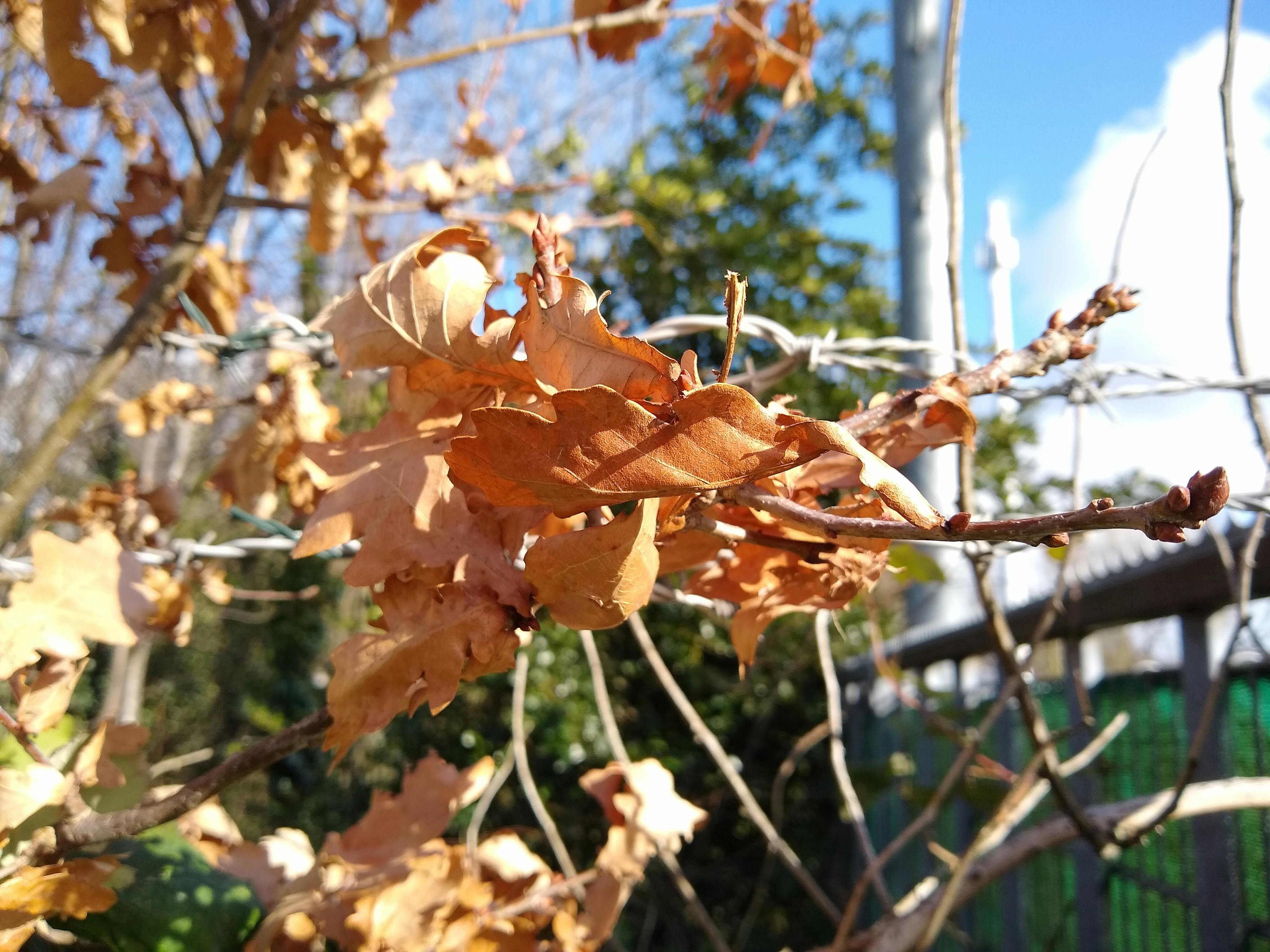 Media has no description