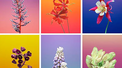 Pas je iPad en iPhone achtergrond aan