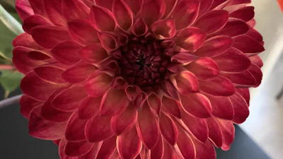 Gratis fotobewerking met darktable