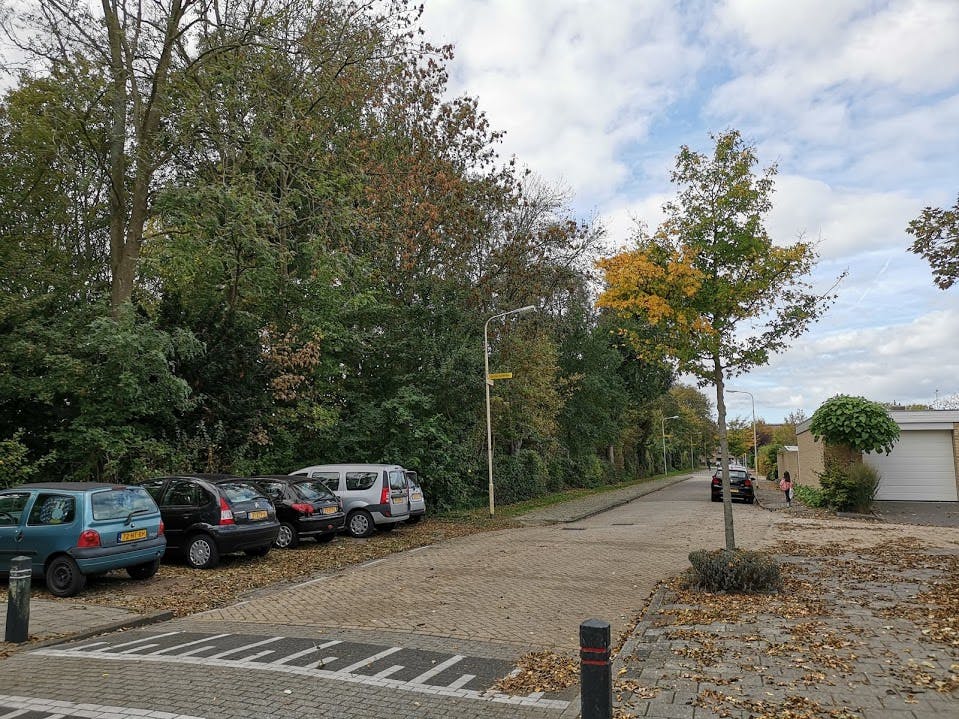 Media has no description