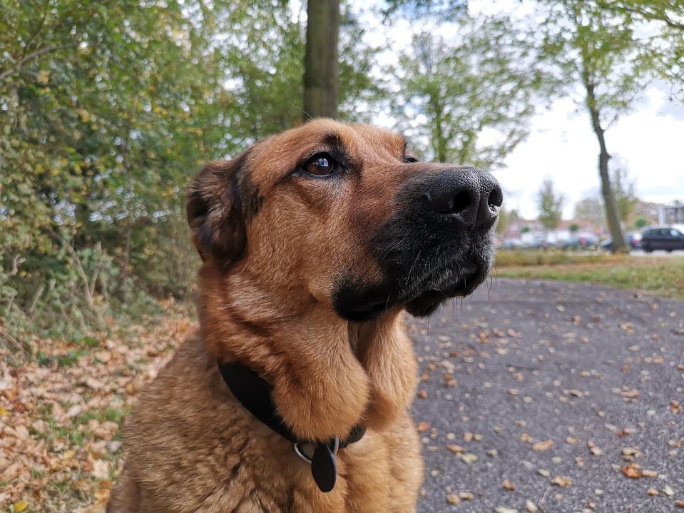 Media has no description