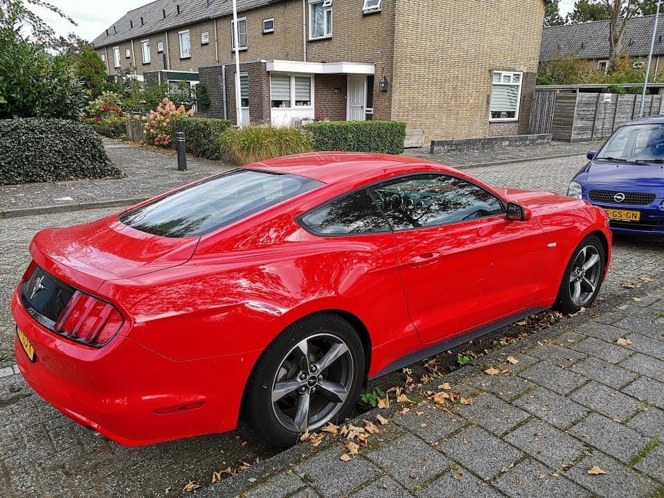 Media has no description