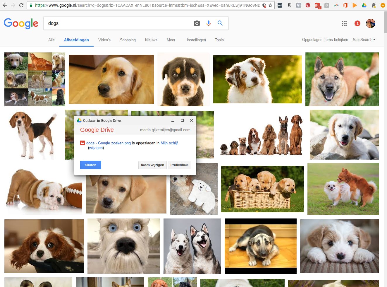 Dankzij deze app sla je nooit meer even iets snel lokaal op.