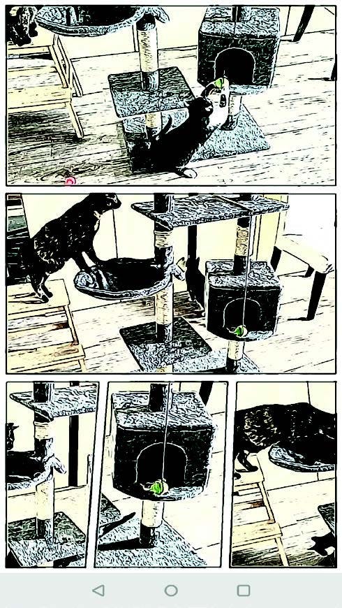 Media has no description