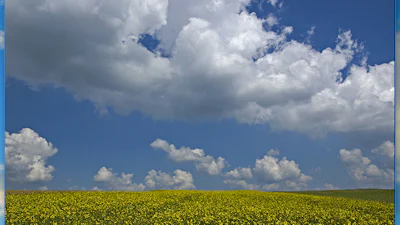 Snel foto's bekijken met Maverick Photo Viewer