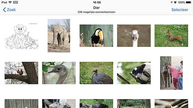 Zoek naar foto's middels een trefwoord in macOS en iOS Foto's