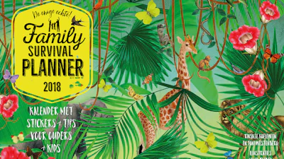 Zo maak je je eigen jaaroverzicht