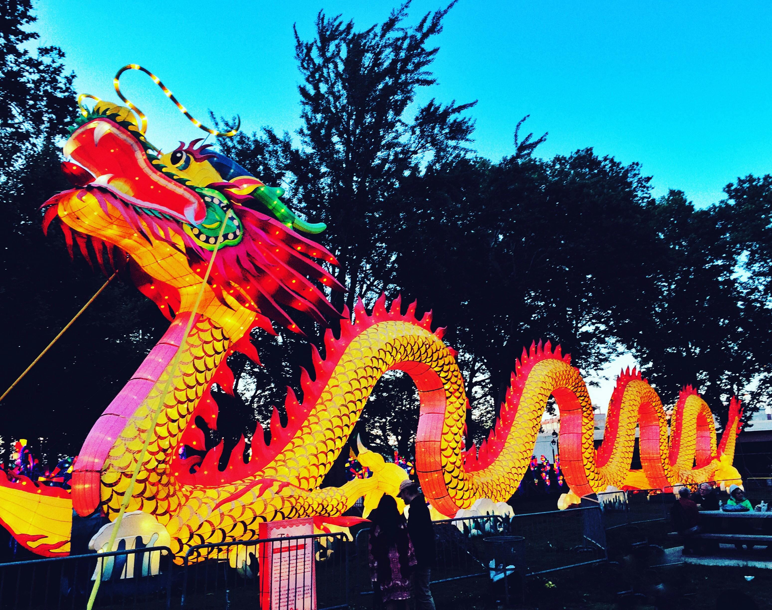 Dit zijn de beste gadgets uit China