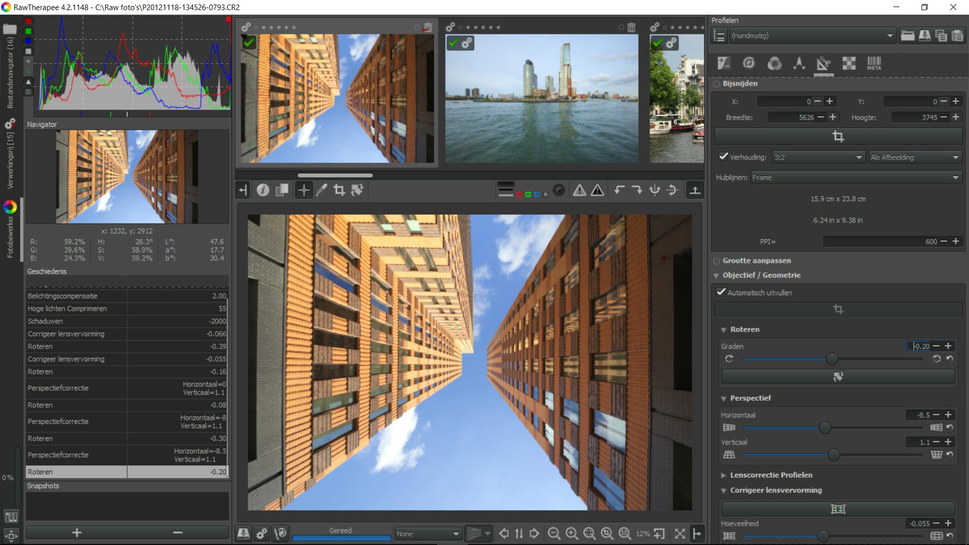 07 Allerlei soorten vervormingen zijn snel verholpen in RawTherapee.