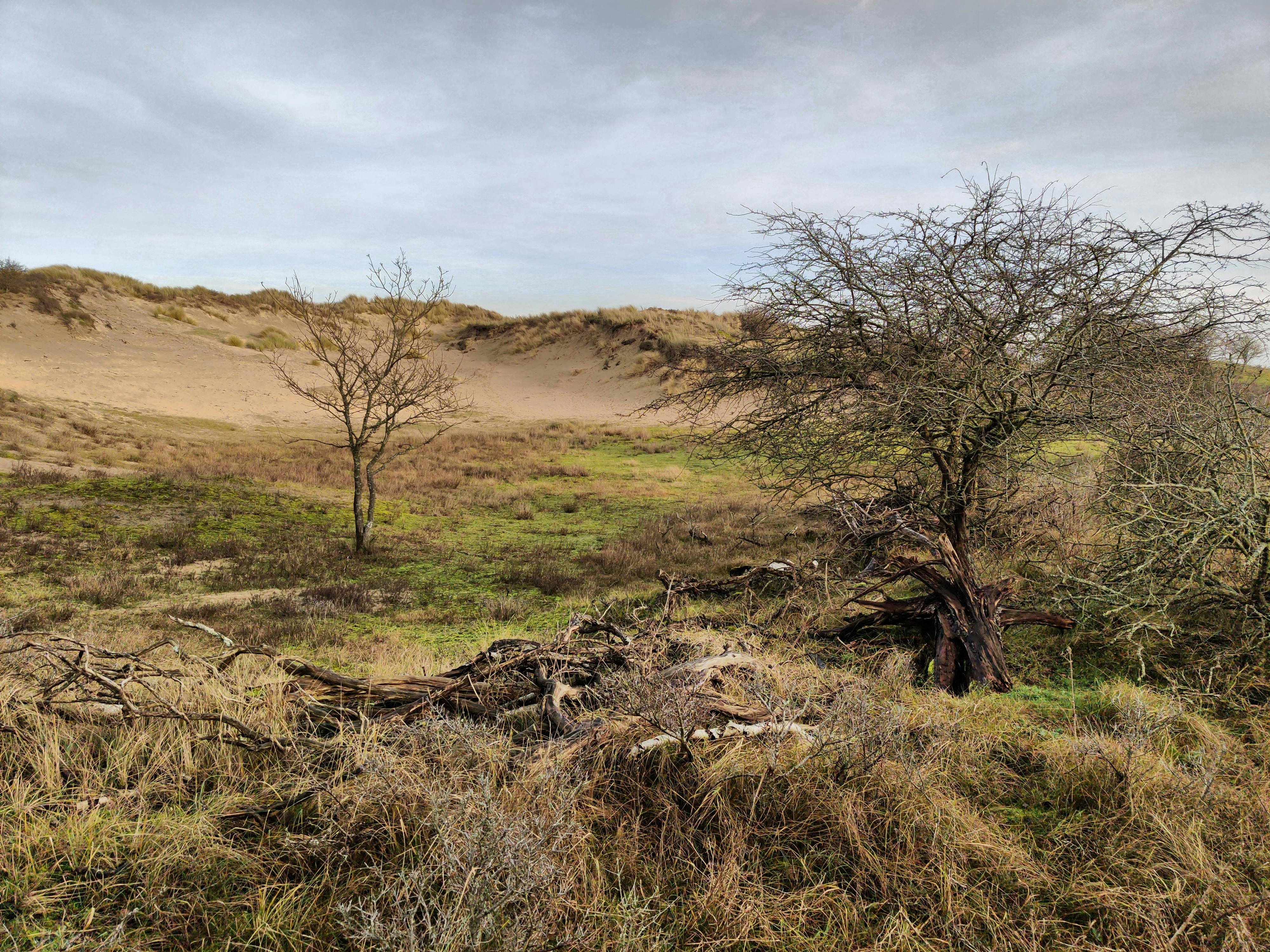Met deze optie worden de schaduwen beter herkenbaar vastgelegd.
