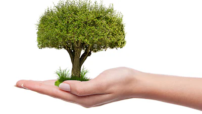 Duurzame tech-initiatieven, groene zoekmachines en extensies