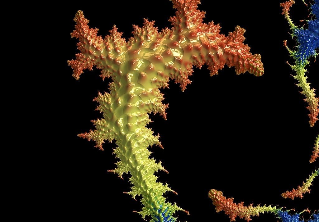 Met Frax maak je in een handomdraai de mooiste en ontspannendste creaties.