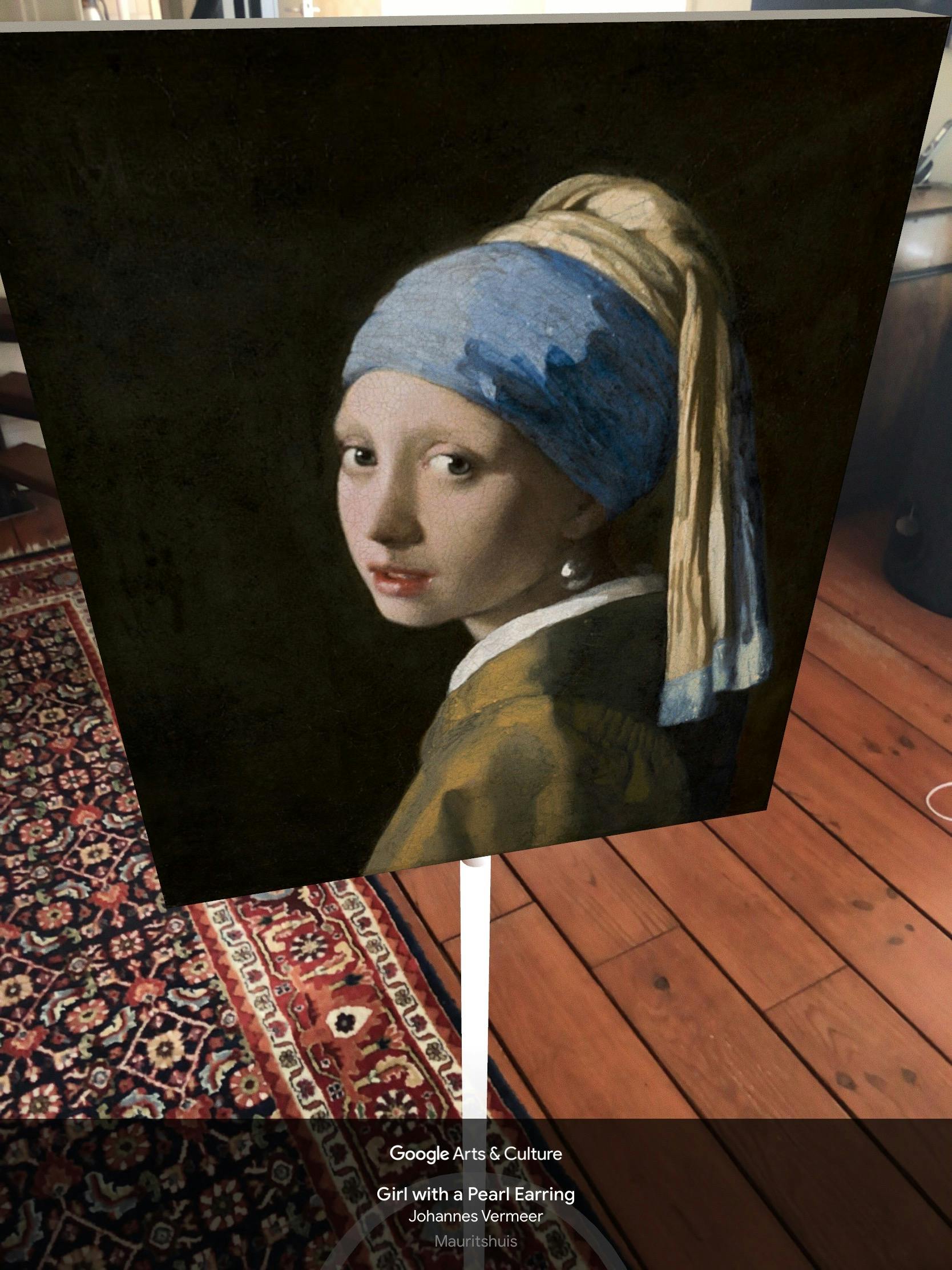 Tip 10 Breng een virtueel en coronavrij bezoek aan musea wereldwijd.